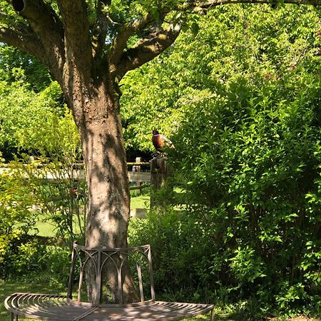Hotel Roulotte Capucine Ablon Zewnętrze zdjęcie